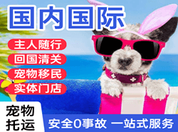 三亚凤凰机场邮寄国际宠物托运 【国